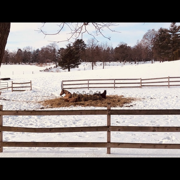 Meet your Posher, Briana - Picture 1 of 1